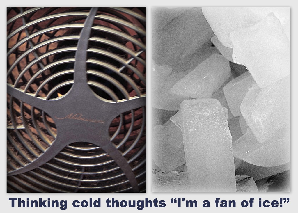 Fan of ice! by homeschoolmom