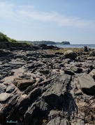 27th Aug 2014 - Potts Point, Harpswell, Maine