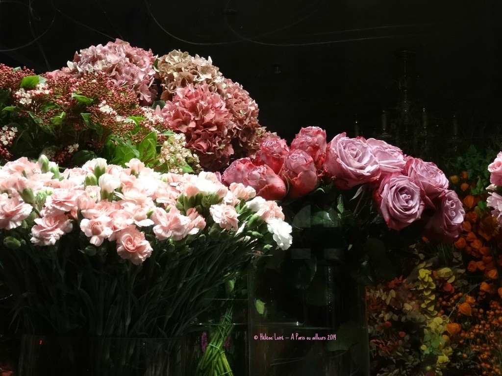 Flower shop at night by parisouailleurs
