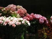 2nd Sep 2014 - Flower shop at night