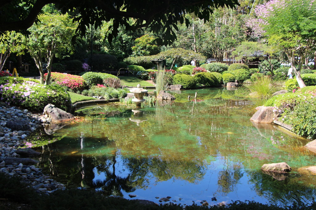 My Brisbane 45 - Japanese Garden by terryliv