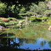 My Brisbane 45 - Japanese Garden by terryliv