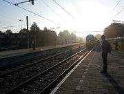 3rd Sep 2014 - Hoorn - Station