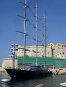 3rd Sep 2014 - The Maltese Falcon