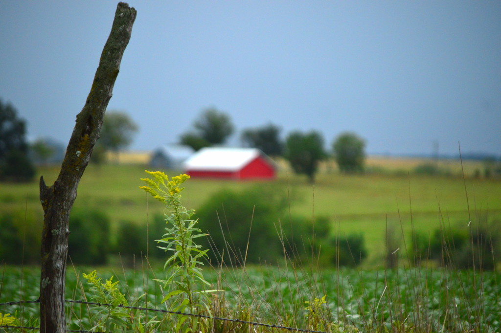 Kansas Scene by kareenking