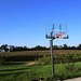 Indiana: Basketball and Corn by tunia