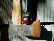 3rd Sep 2014 - Tomato on an Ax