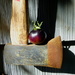 Tomato on an Ax by stephomy