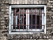 3rd Sep 2014 - Back Alley Window
