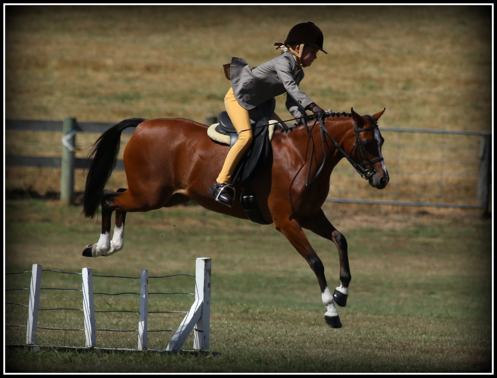 A&P show Pukekohe by dide