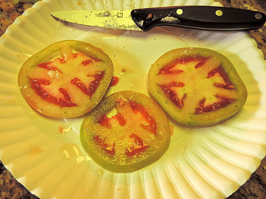 My Christmas tomatoes! by homeschoolmom