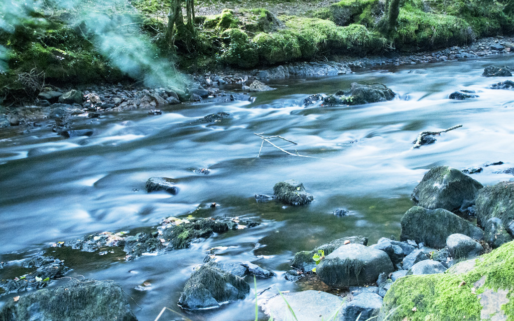 River Teign - Dunsford Woods by sjc88