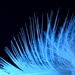 Feather Light by jayberg