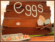5th Sep 2014 - Paula's Eggs..