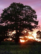 16th Aug 2014 - Sunset in Malensac