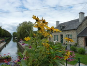 22nd Aug 2014 - The canal at Malestroit