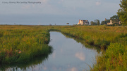 5th Sep 2014 - Morning light