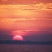 Pink Sun Today by selkie