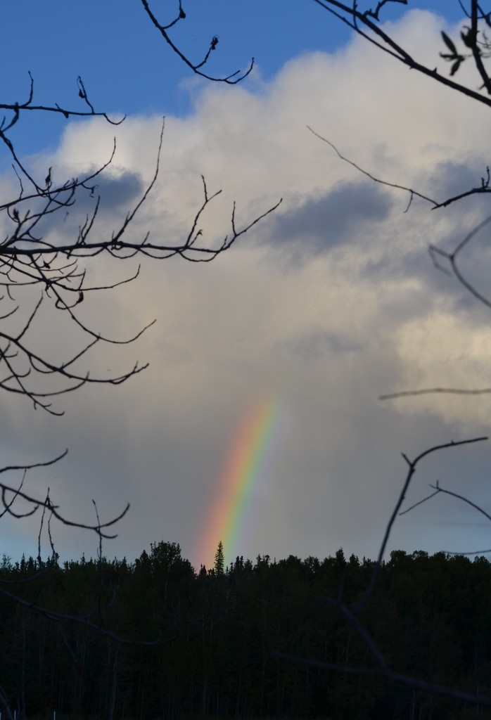 Day 64 - Catch the Rainbow by ravenshoe