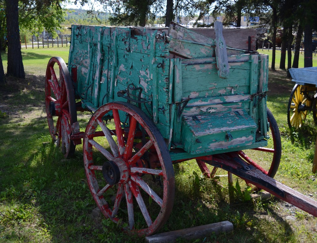 Day 66 - Workhorse of Yesteryear by ravenshoe