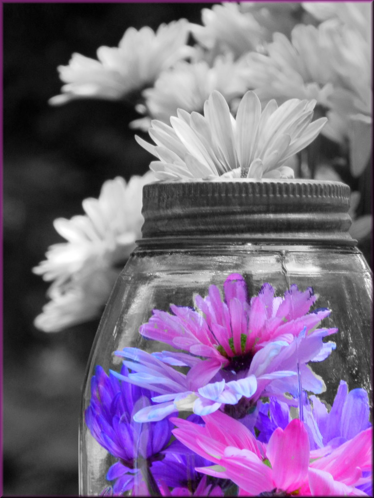 Jar Full Of Flowers by paintdipper