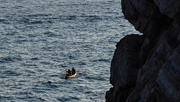 27th Aug 2014 - sea kayaking