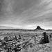 Holy Island ~ 1 by seanoneill