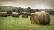 6th Sep 2014 - Bales of hay