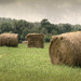 Bales of hay by mittens