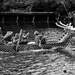 Dragon Boat Races by kannafoot