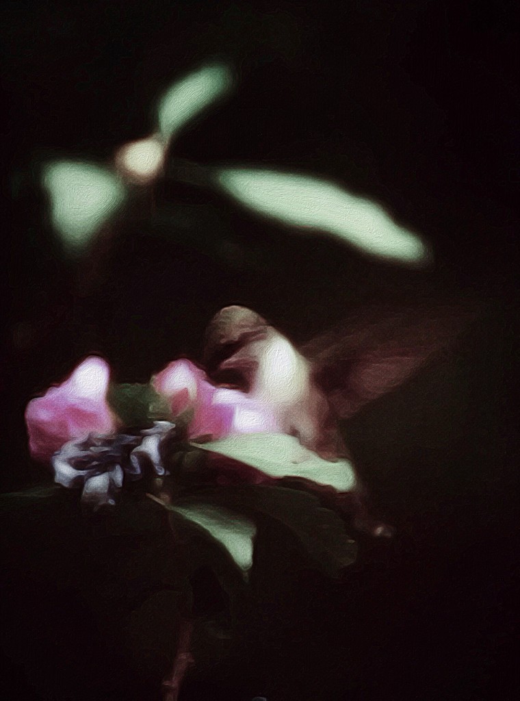 Hummingbird by mzzhope