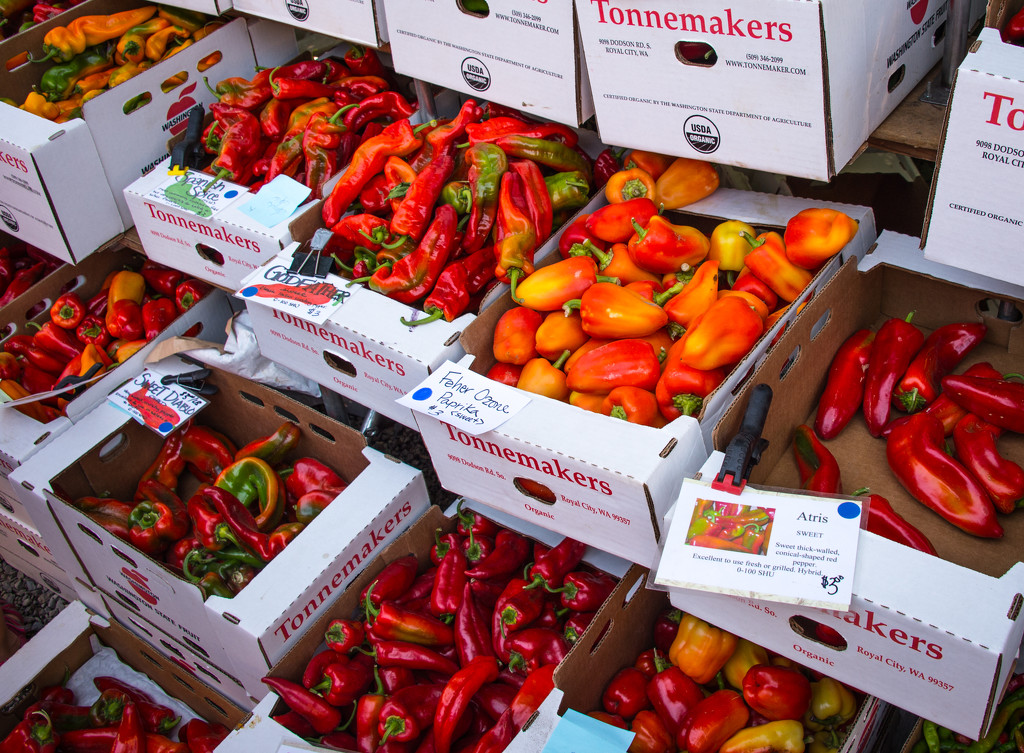 Farmer's Market Peppers  by epcello