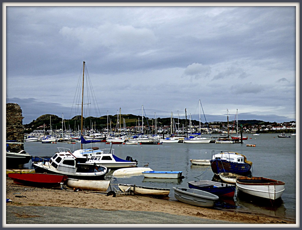 Conwy 4-at the quay  by beryl