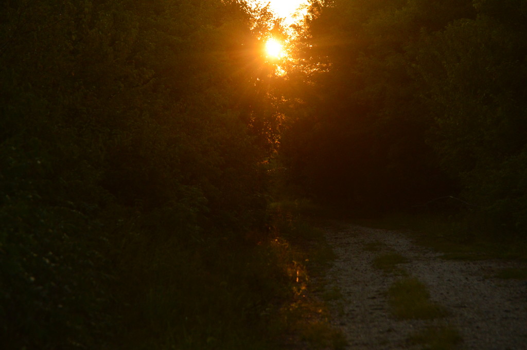 Path of Light by kareenking