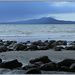 Rangitoto Island by dide