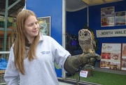 8th Sep 2014 -  Assistant and owl