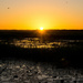 Wetlands sunset by bella_ss