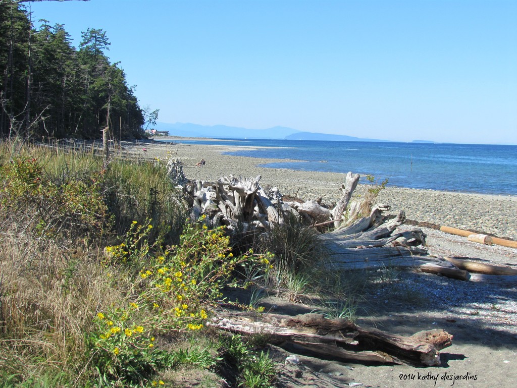 Rathtrevor Beach by kathyo