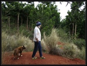 8th Sep 2014 - A walk to the Hope pine plantation