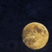 A Van Gogh Moon  by digitalrn