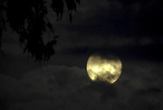 7th Sep 2014 - Bad Moon Rising...