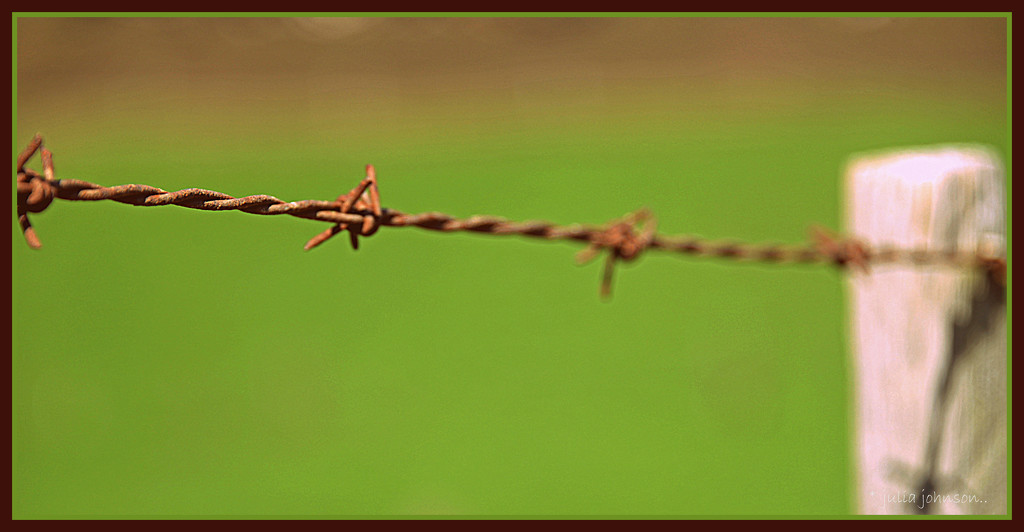 Barbed wire.. by julzmaioro