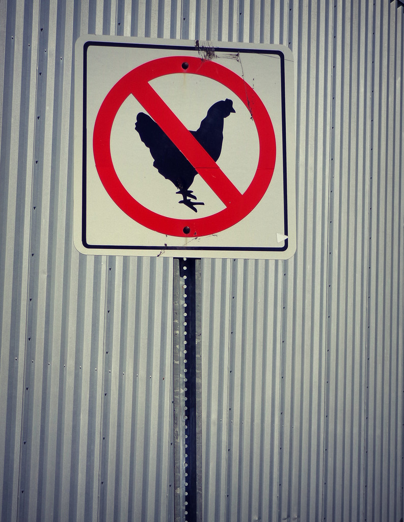 No Chickens by alophoto