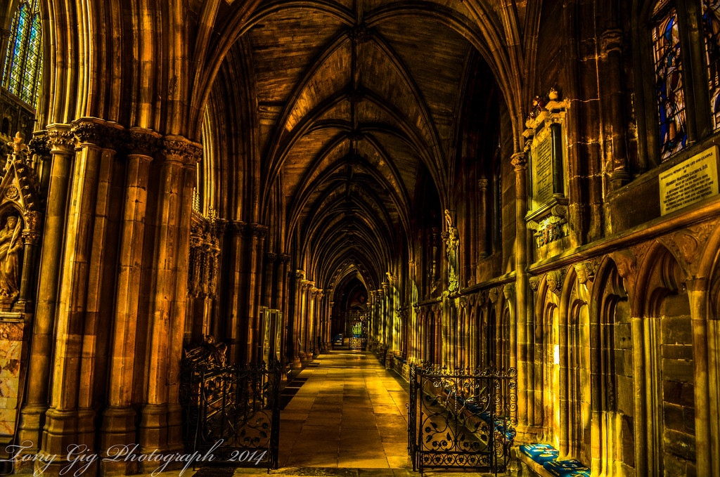 Sunlight In The Cathedral by tonygig