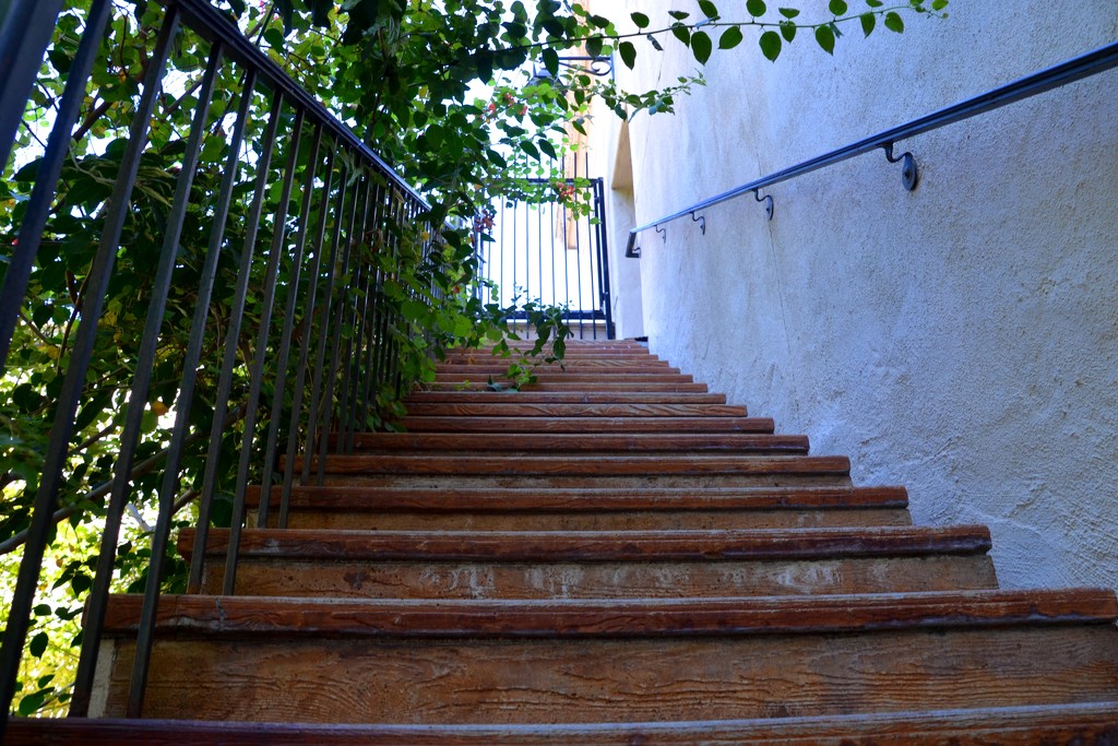 Stairway by mariaostrowski