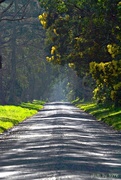 6th Sep 2014 - Quiet country road