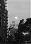 9th Sep 2014 - Moon Over Manhattan