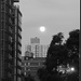 Moon Over Manhattan by allie912