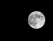 8th Sep 2014 - Moon