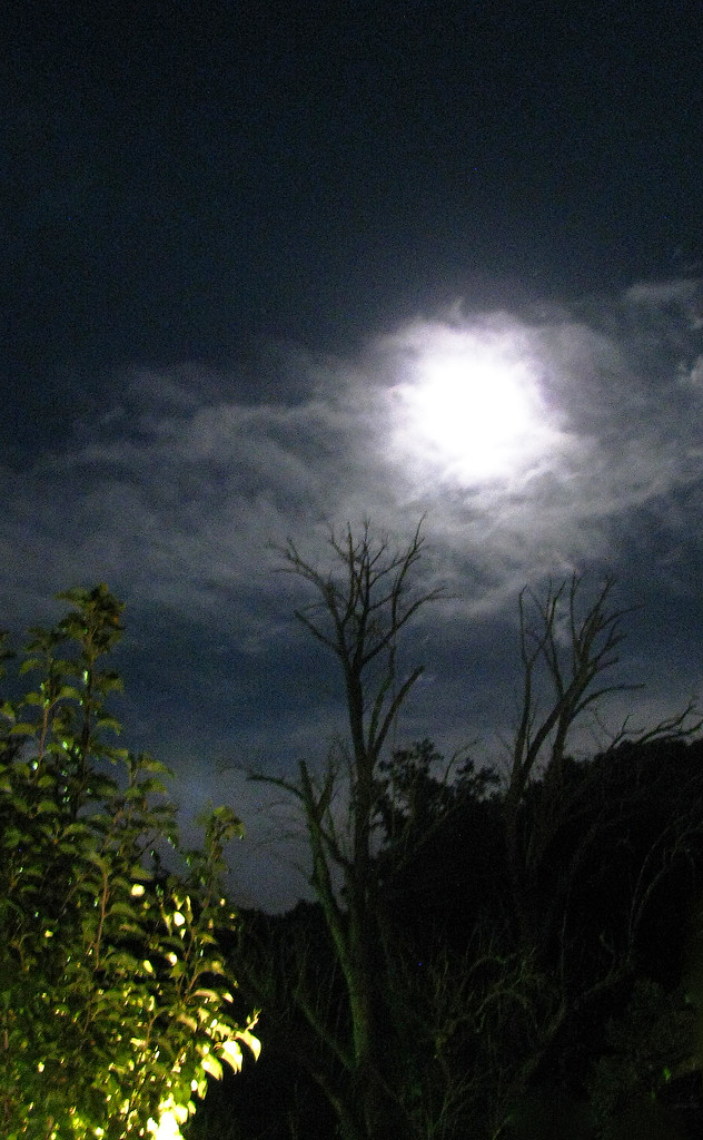 Harvest Moon by april16